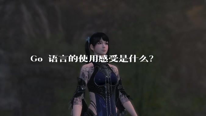 Go 语言的使用感受是什么？