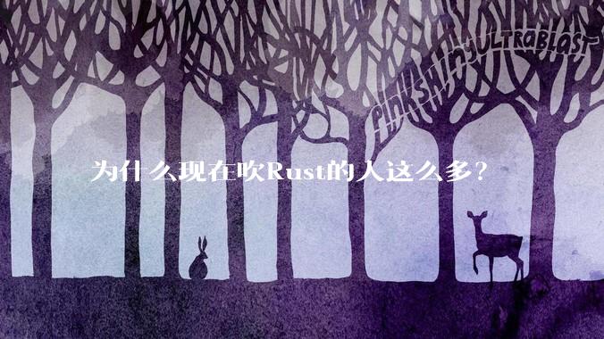 为什么现在吹Rust的人这么多？